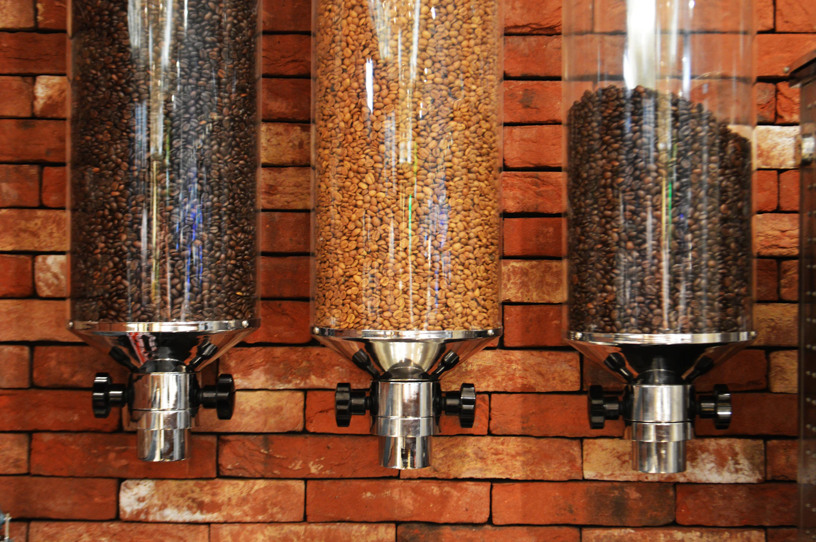 Local coffee Flagstaff, three varieties of freshly roasted coffee beans in a cafe bar dispenser