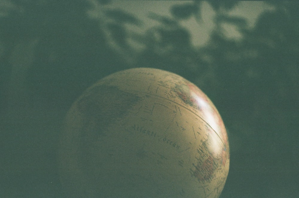 a close up of a globe with trees in the background