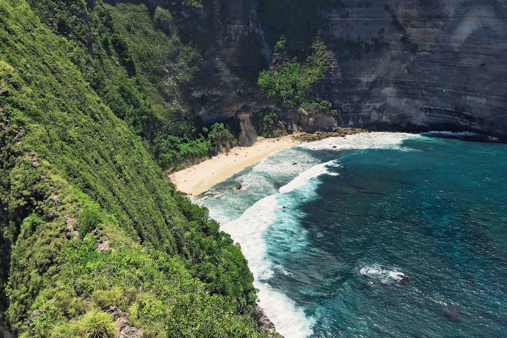 high angle photo of beach