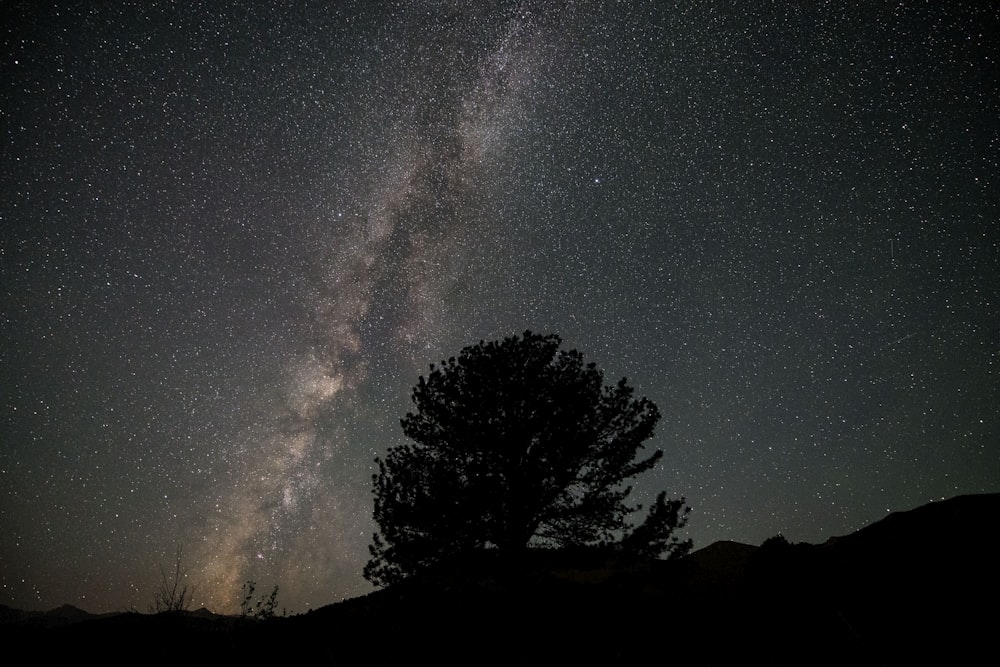 milky way view