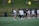 A group of female athletes in sportswear are gathered on a green field, possibly preparing or practicing for a game. They are wearing white and navy uniforms, some with numbers on the back. In the background, there are outdoor chairs on a grassy hill and a bench area with a roof structure, suggesting a sports facility. Small yellow balls are scattered on the turf.