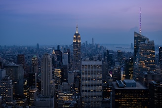 birds eye photograph of high rise buildings