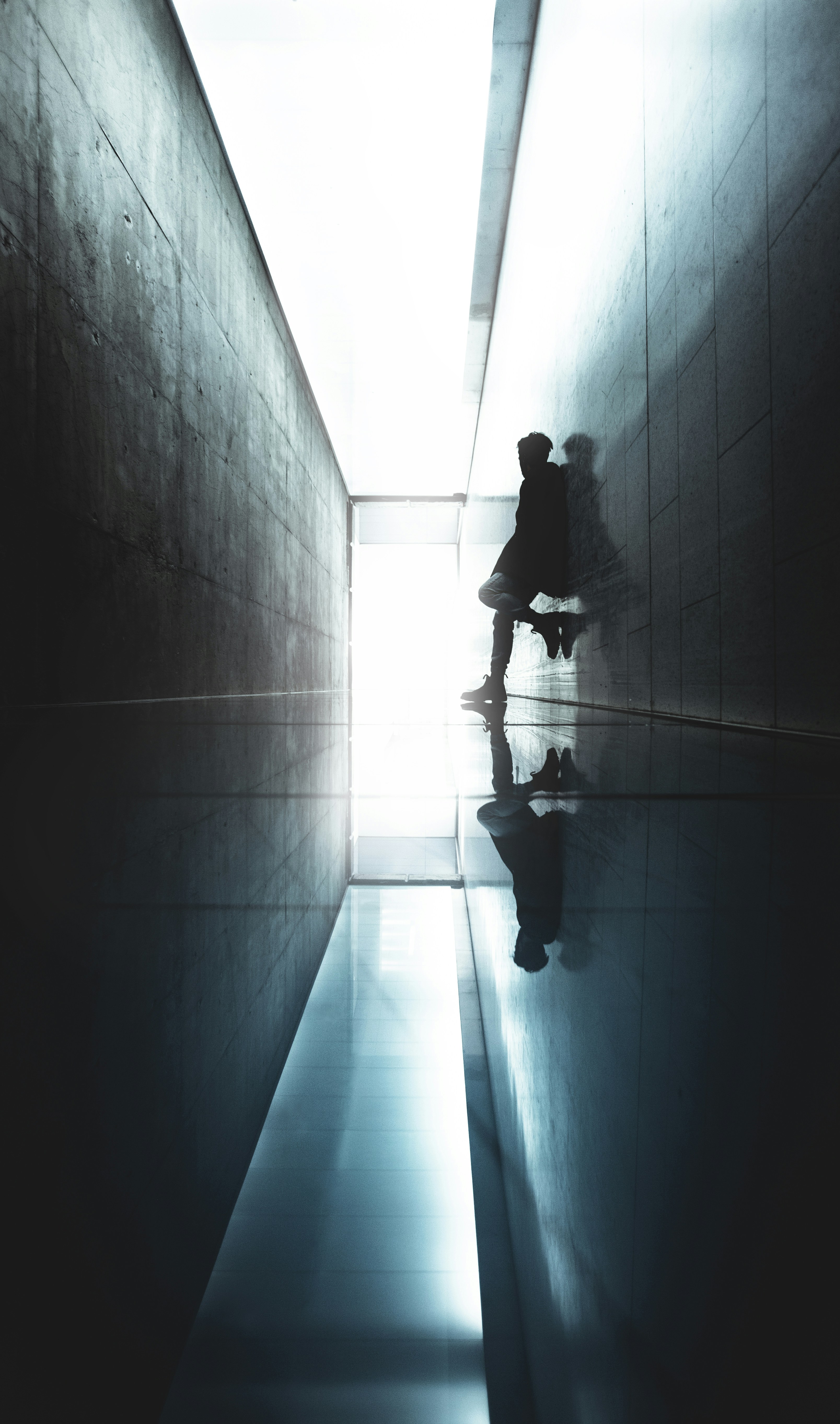 Photo by williamdaigneault