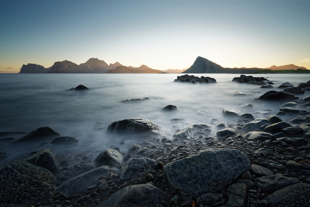 rocky shore in closeup photography