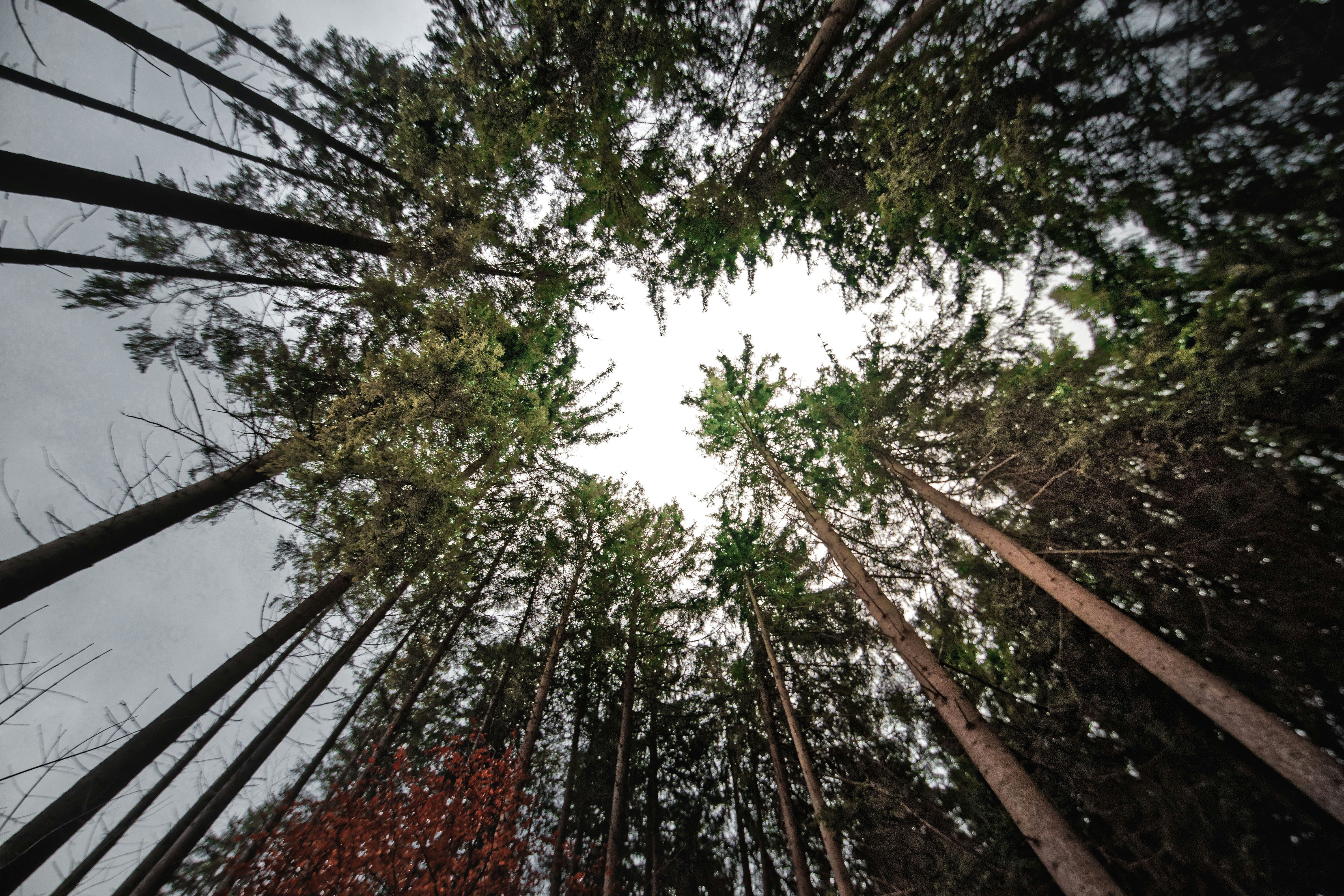 Photo by ansgarscheffold