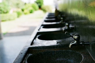 A row of metallic water faucets attached to a wall, with a series of sinks below them. The image captures the faucets in sharp focus while the background is blurred, showing a garden area with green foliage and pathways.