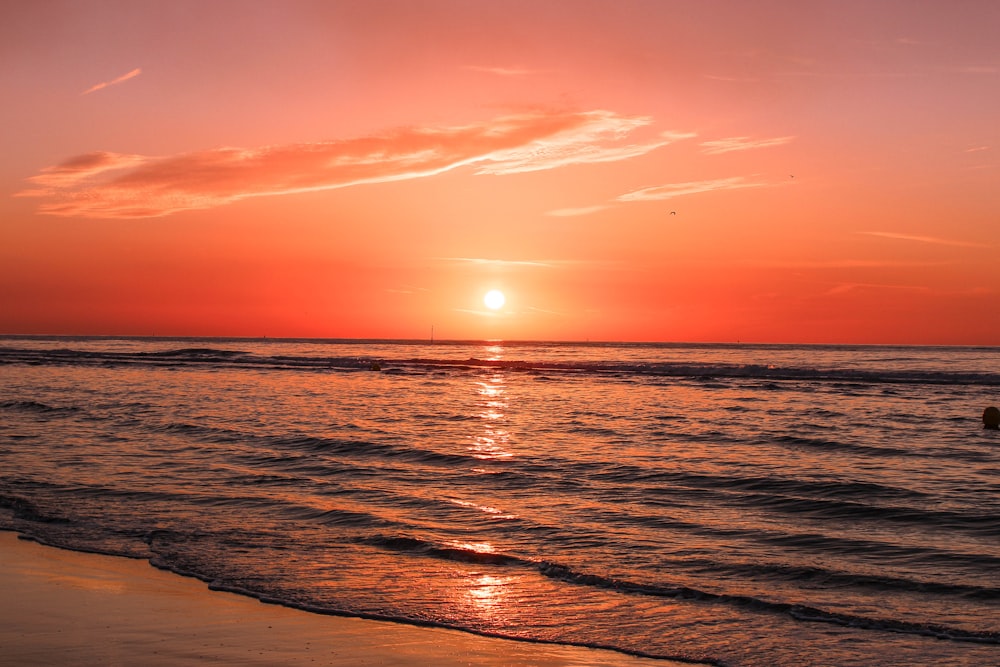 seashore during sunset