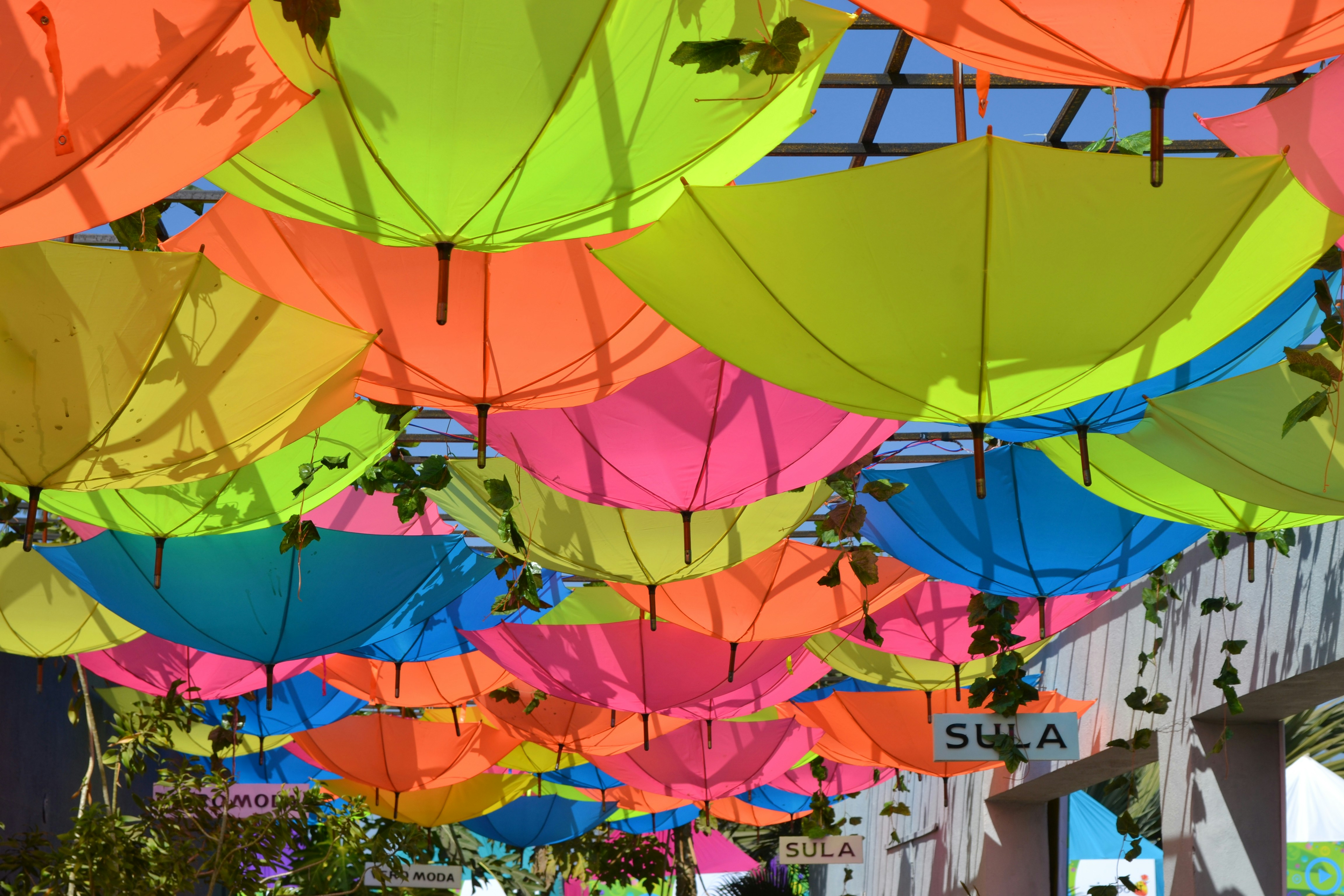 Image by Dhananjay Anil Jagtap via Unsplash