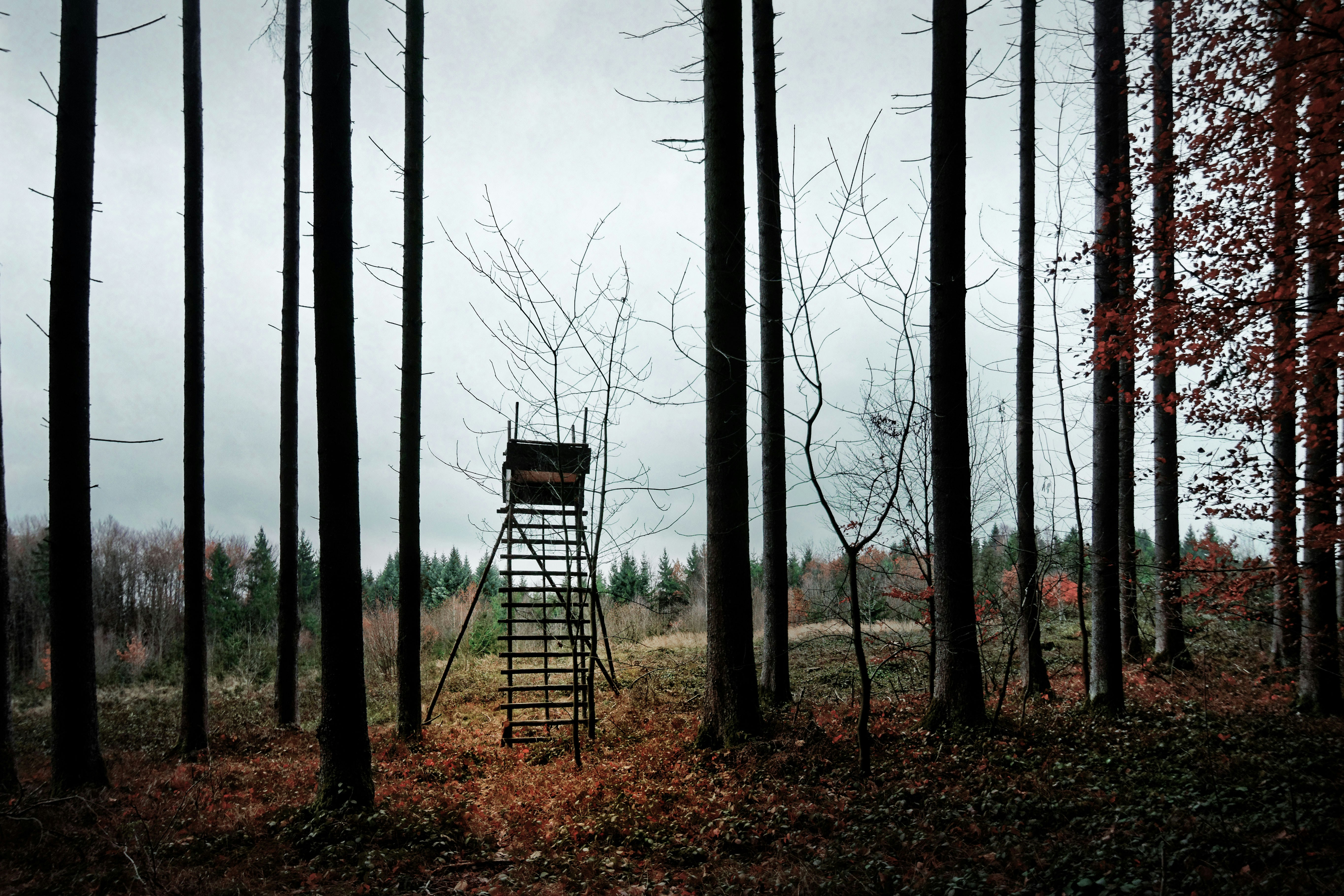 Photo by ansgarscheffold