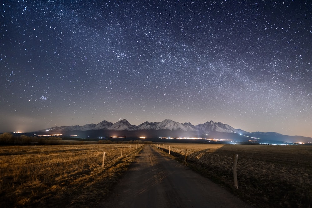 Vía entre el campo de la planta