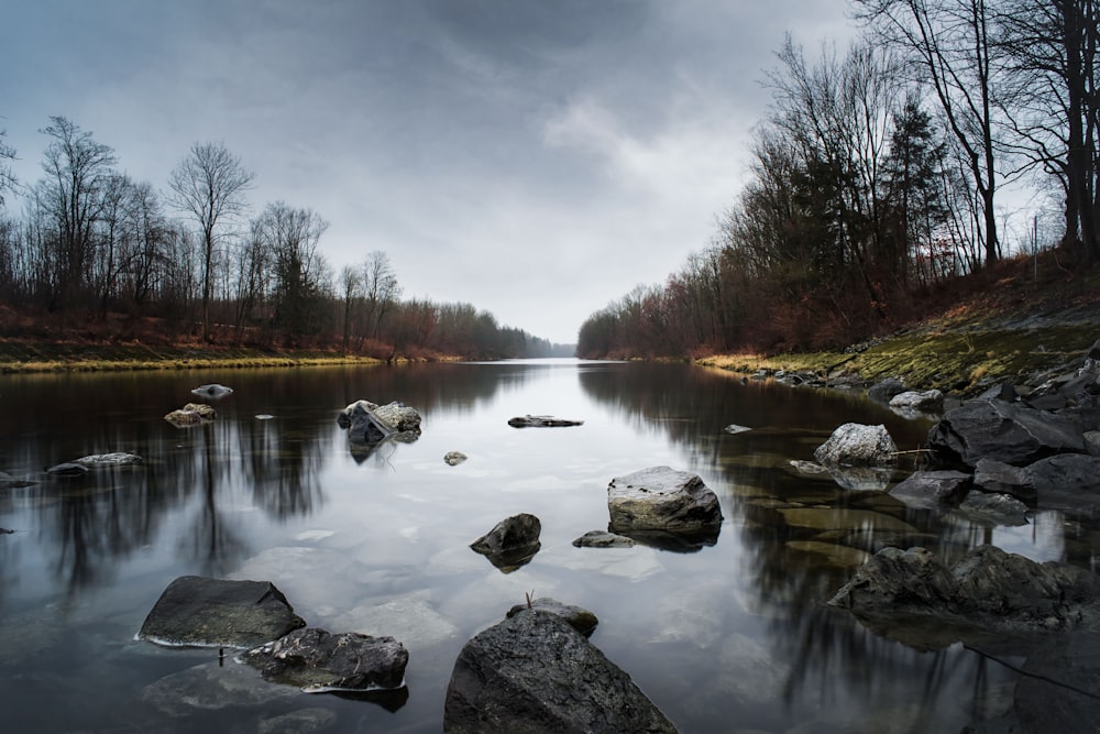 close-up photography of stone and body of water