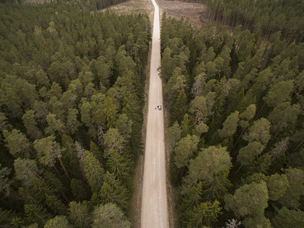 top-view photography of road during daytime