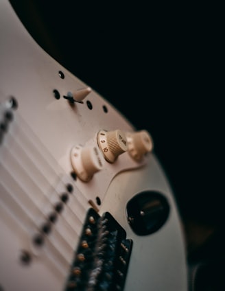 white and black electric guitar