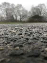 A close-up view of a textured asphalt surface with a blurred background showing leafless trees under an overcast sky.