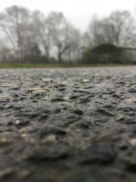 A close-up view of a textured asphalt surface with a blurred background showing leafless trees under an overcast sky.