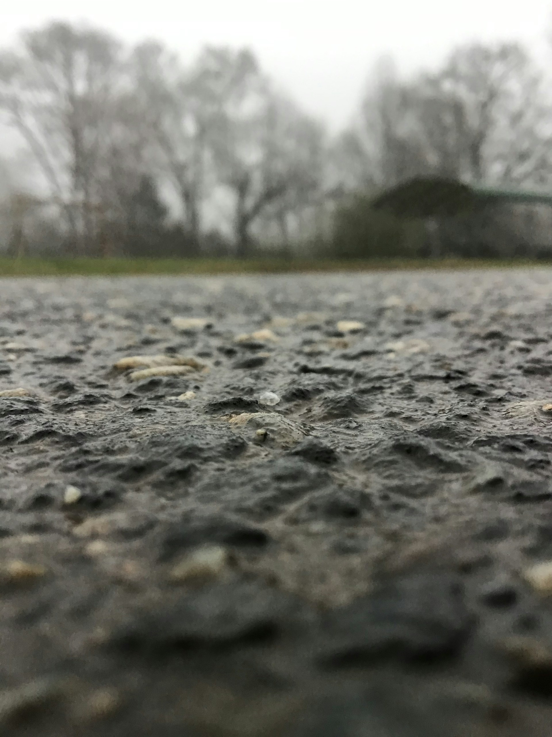A close-up shot of a cold milling machine in action, grinding a section of asphalt on a St. Louis street under a clear sky.