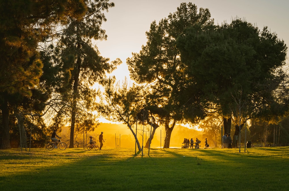 people near green trees