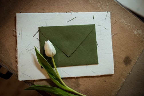 white tulips on green envelope