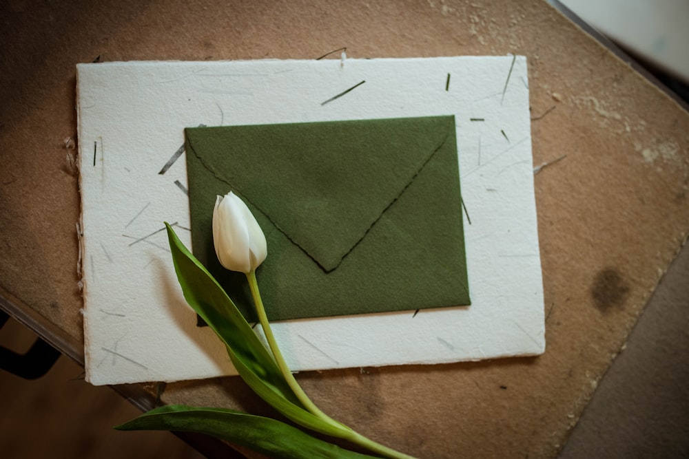 white tulips on green envelope