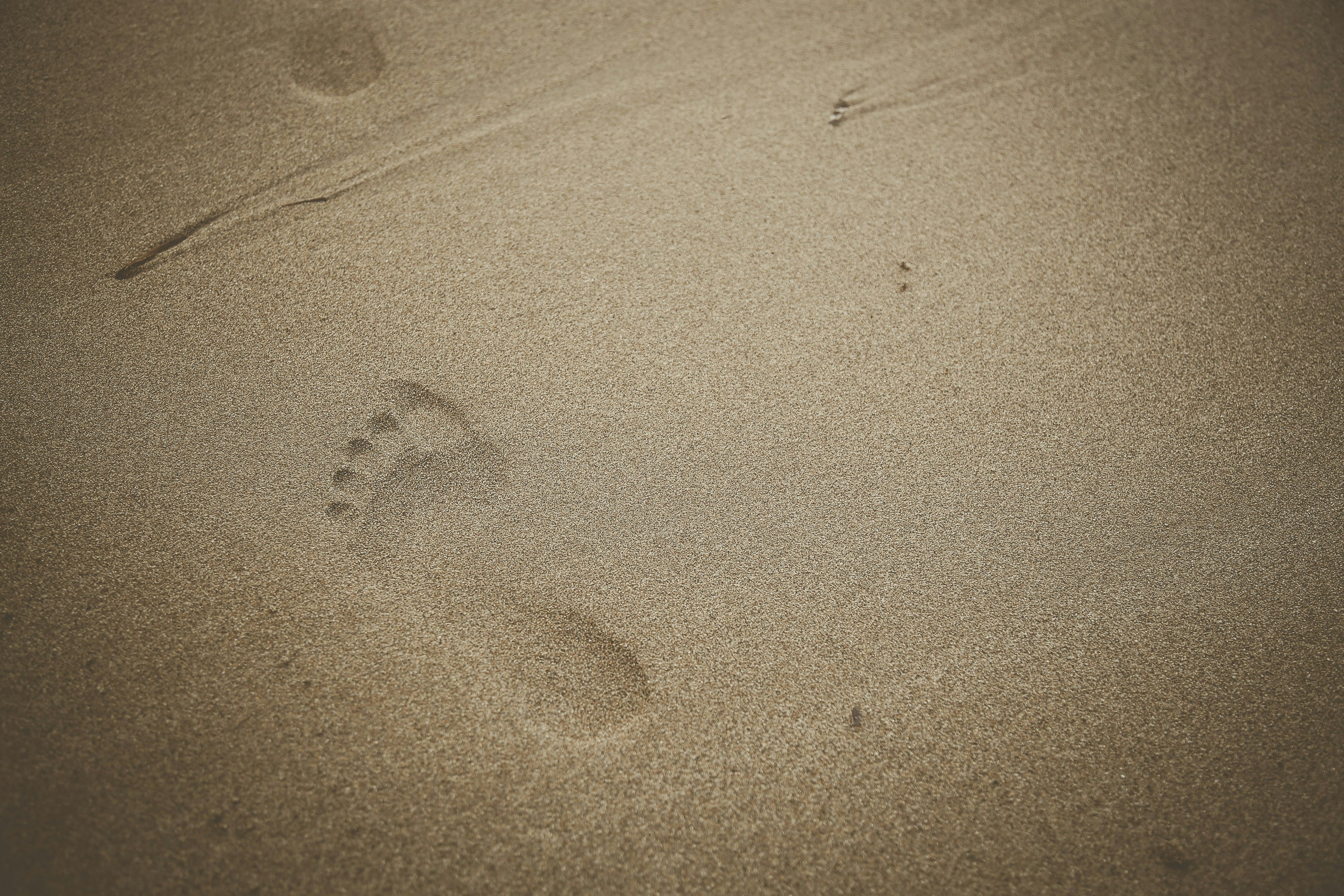 Photo by quadratmedia