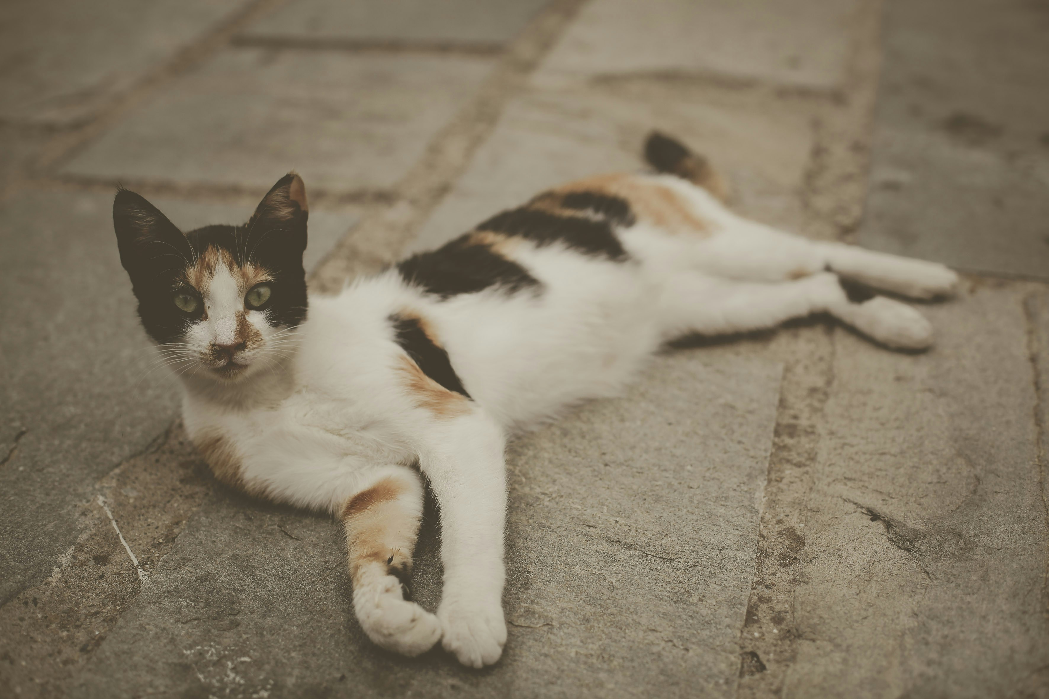 Photo by quadratmedia