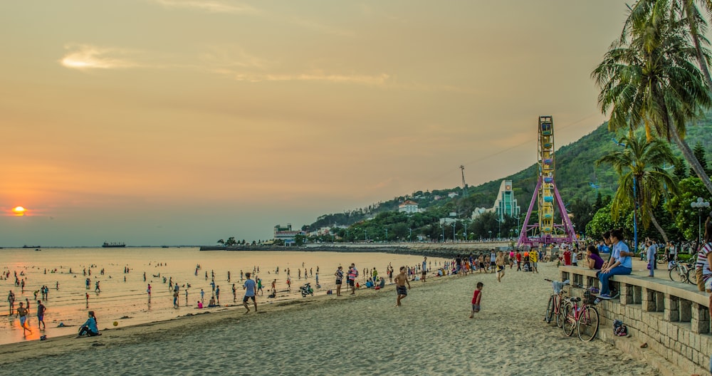 people on seashore