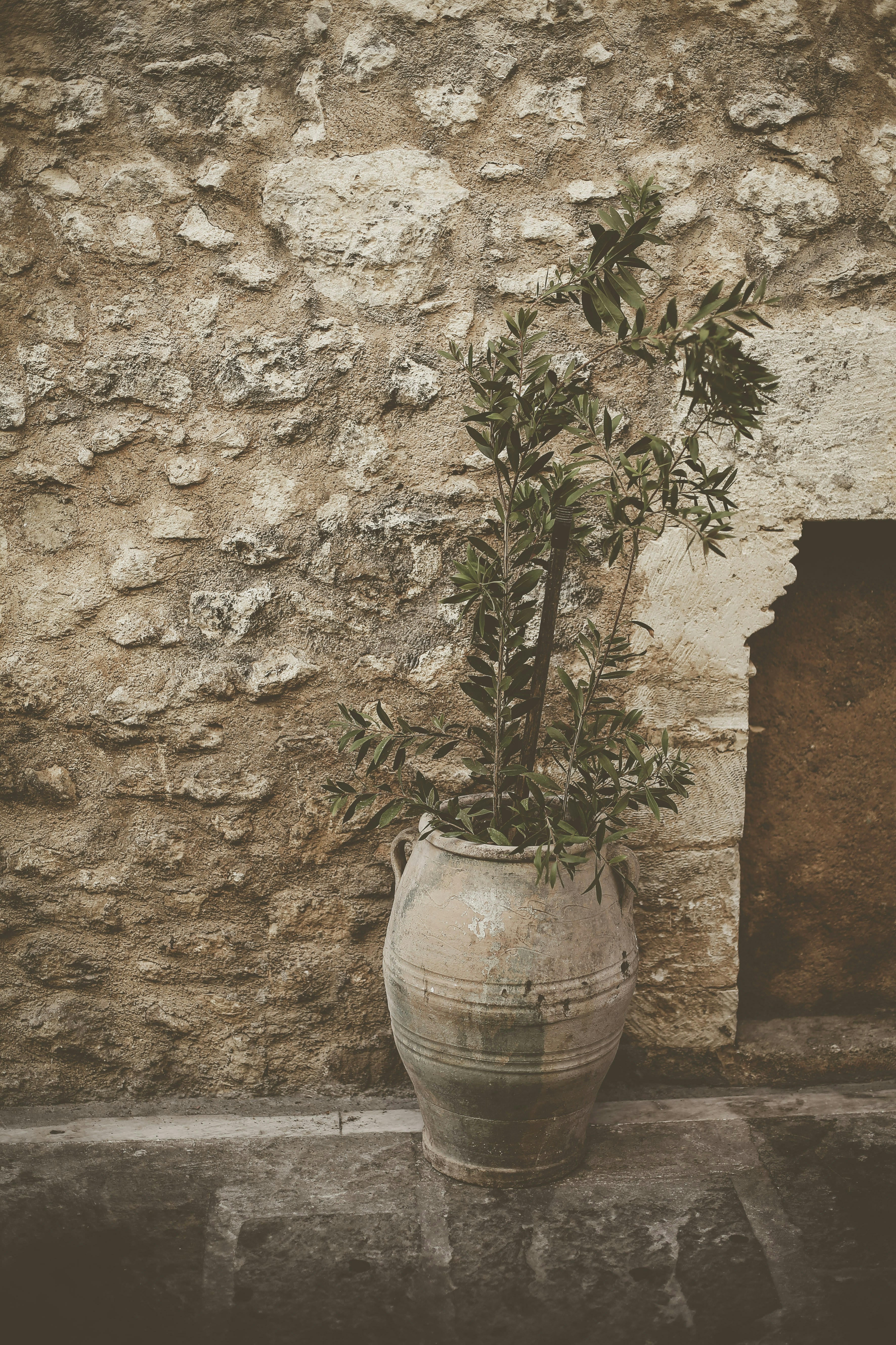 Photo by quadratmedia