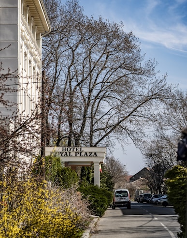 A sidewalk lined with bushes and trees leads to the entrance of a hotel named 'Royal Plaza'. A row of parked cars lines the street on the right, and a van is seen driving along the road. The trees are bare, indicating a winter or early springtime setting.