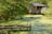 A calm green swamp with a dock where an alligator is resting. Nearby, a building with a porch hosts people observing the scene. Fishing rods are set up on the dock, and the area is surrounded by lush greenery.