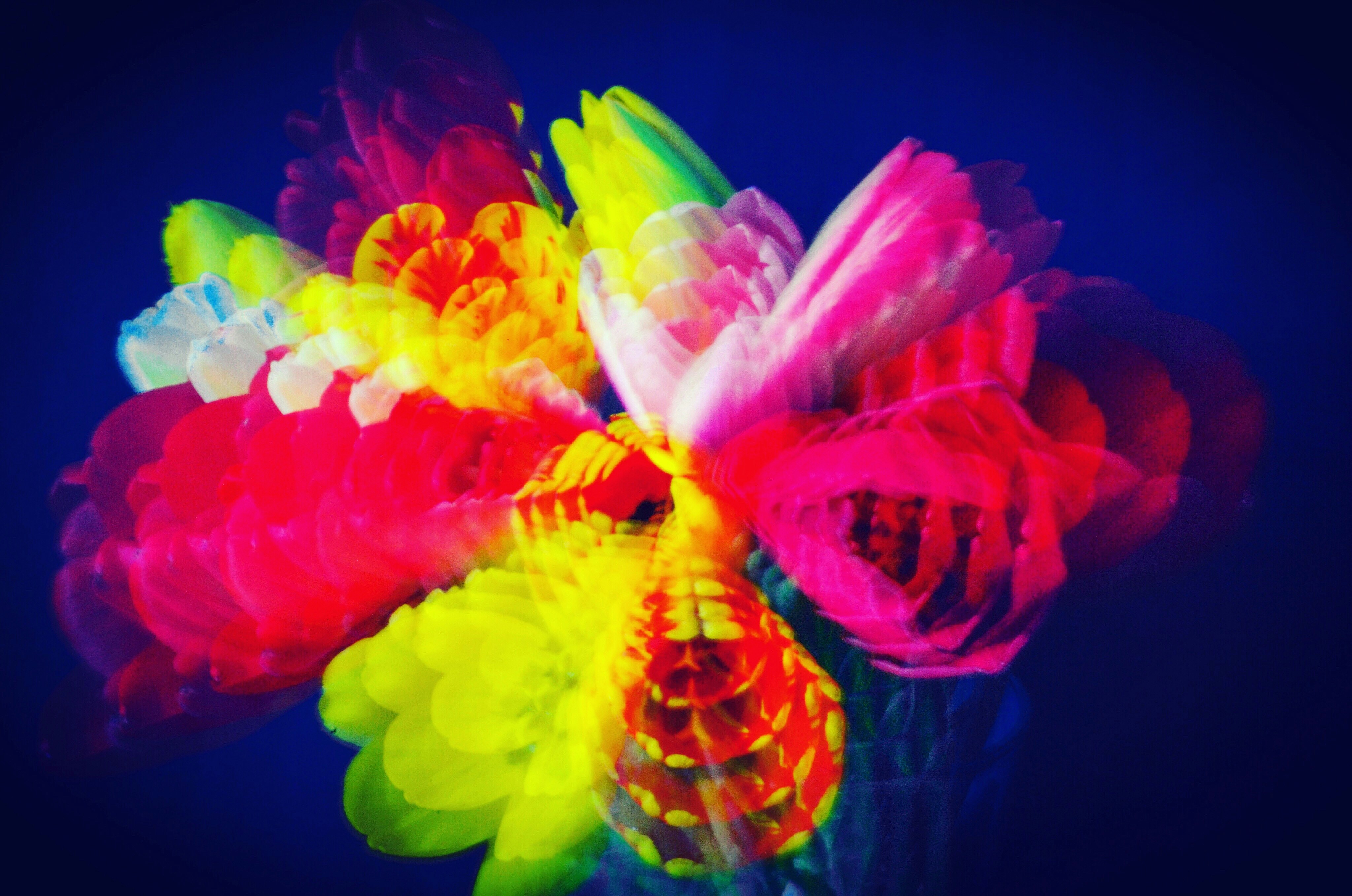 Photo by celle_a_belle