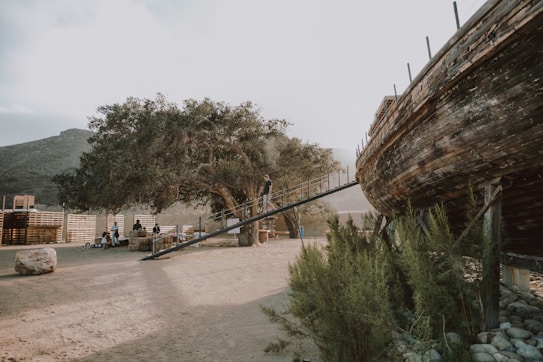 A rustic outdoor setting with a large tree in the center, where people are gathered around. On the right side, an old, weathered wooden ship is elevated, with a ramp leading up to it. The background features hills and a partly cloudy sky creating a calm and natural atmosphere. Several wooden pallets are arranged near the tree, giving a casual and rustic vibe.