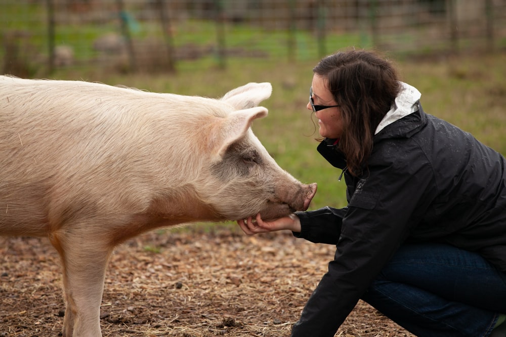 woman sitting in front of pig