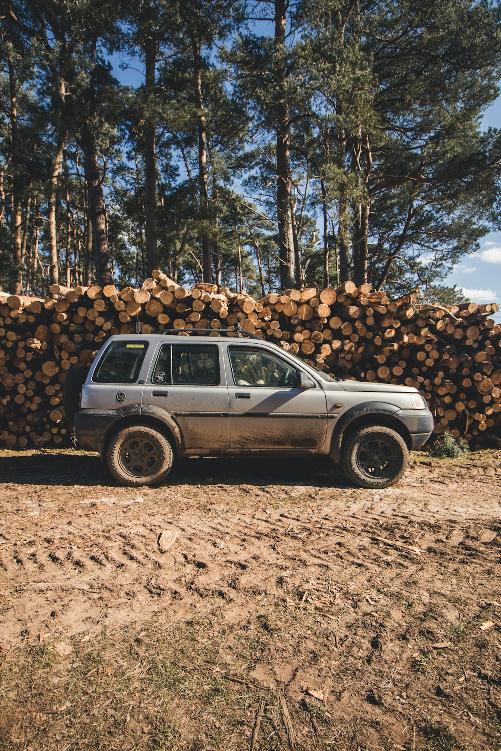 grauer SUV in der Nähe eines Haufens Brennholz