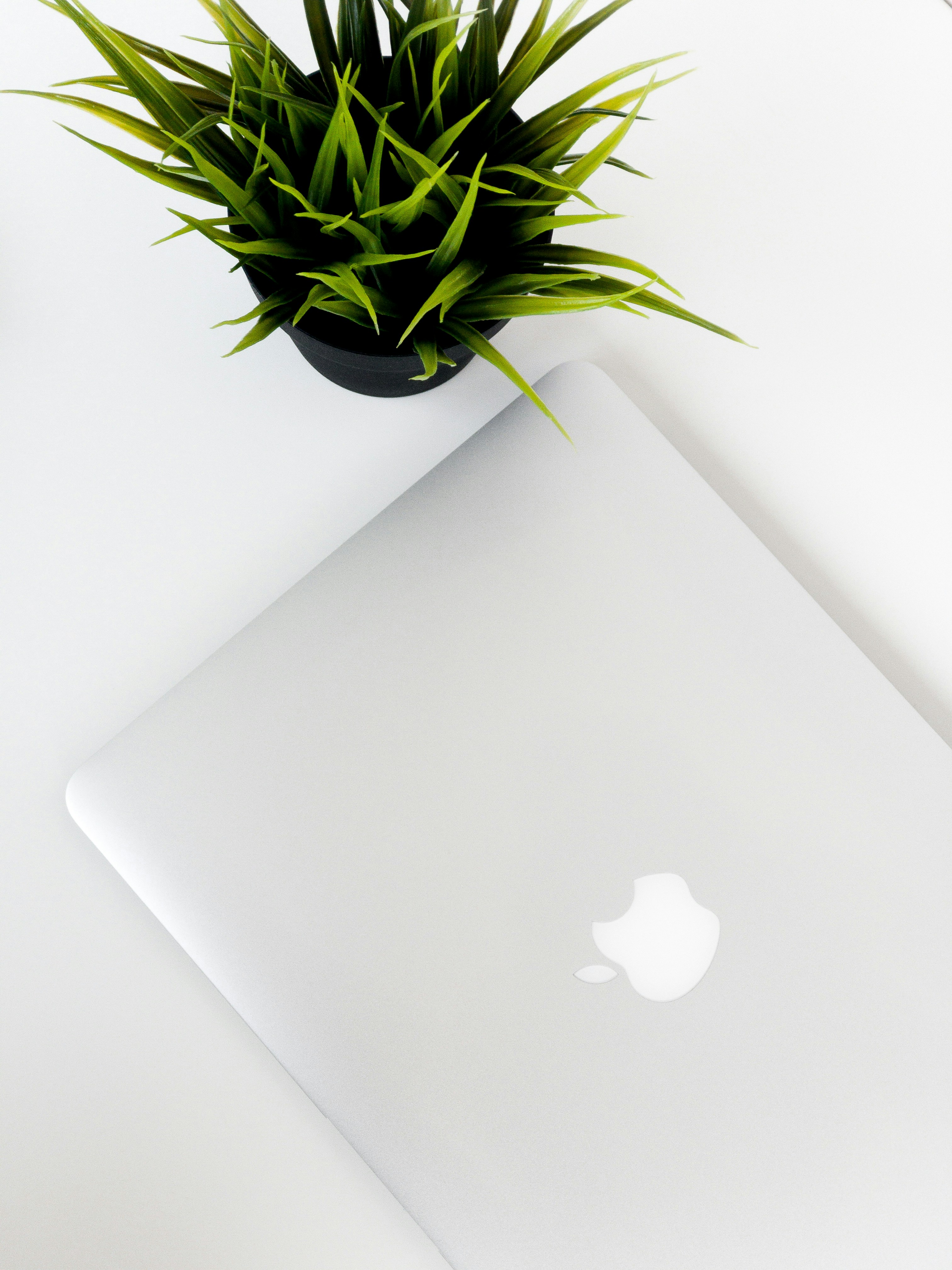 Photo by genadikgeorgiev