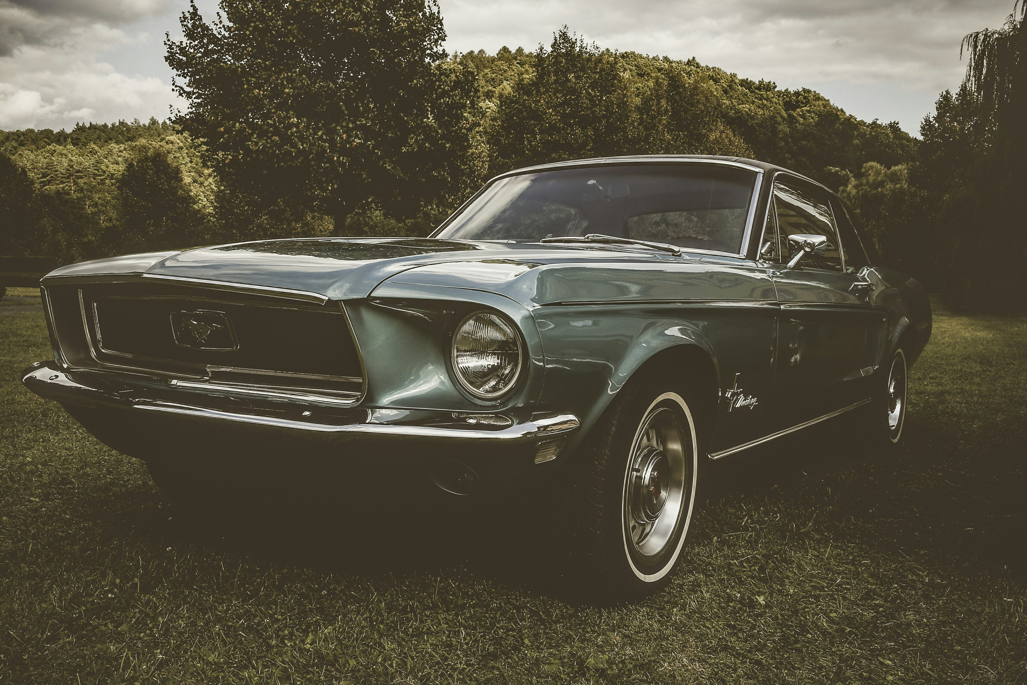 Photo by quadratmedia