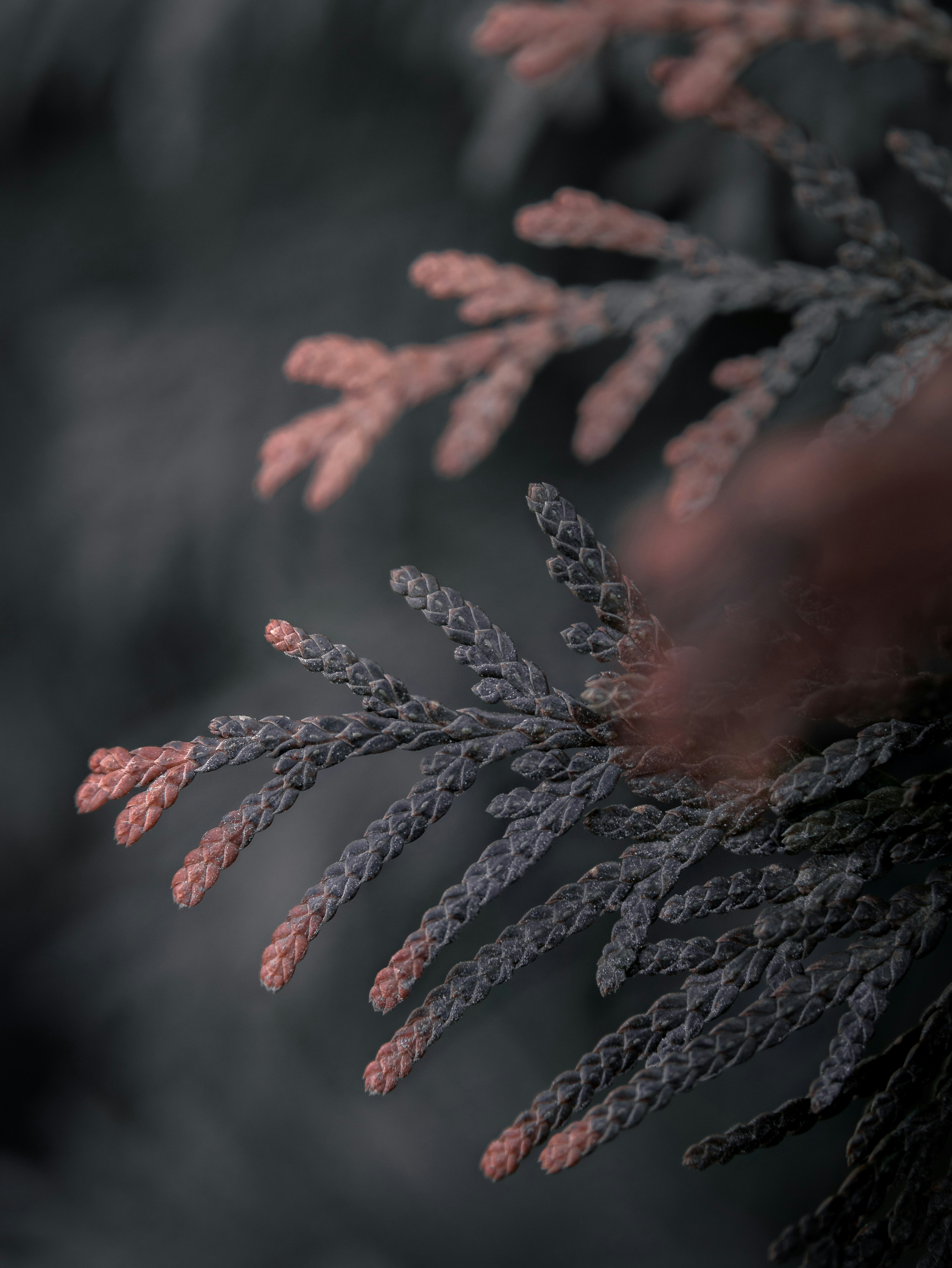 Photo by kirillpershin