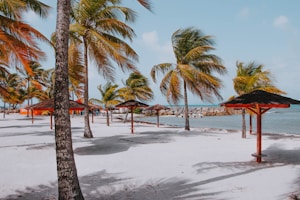 Caribe Soñado