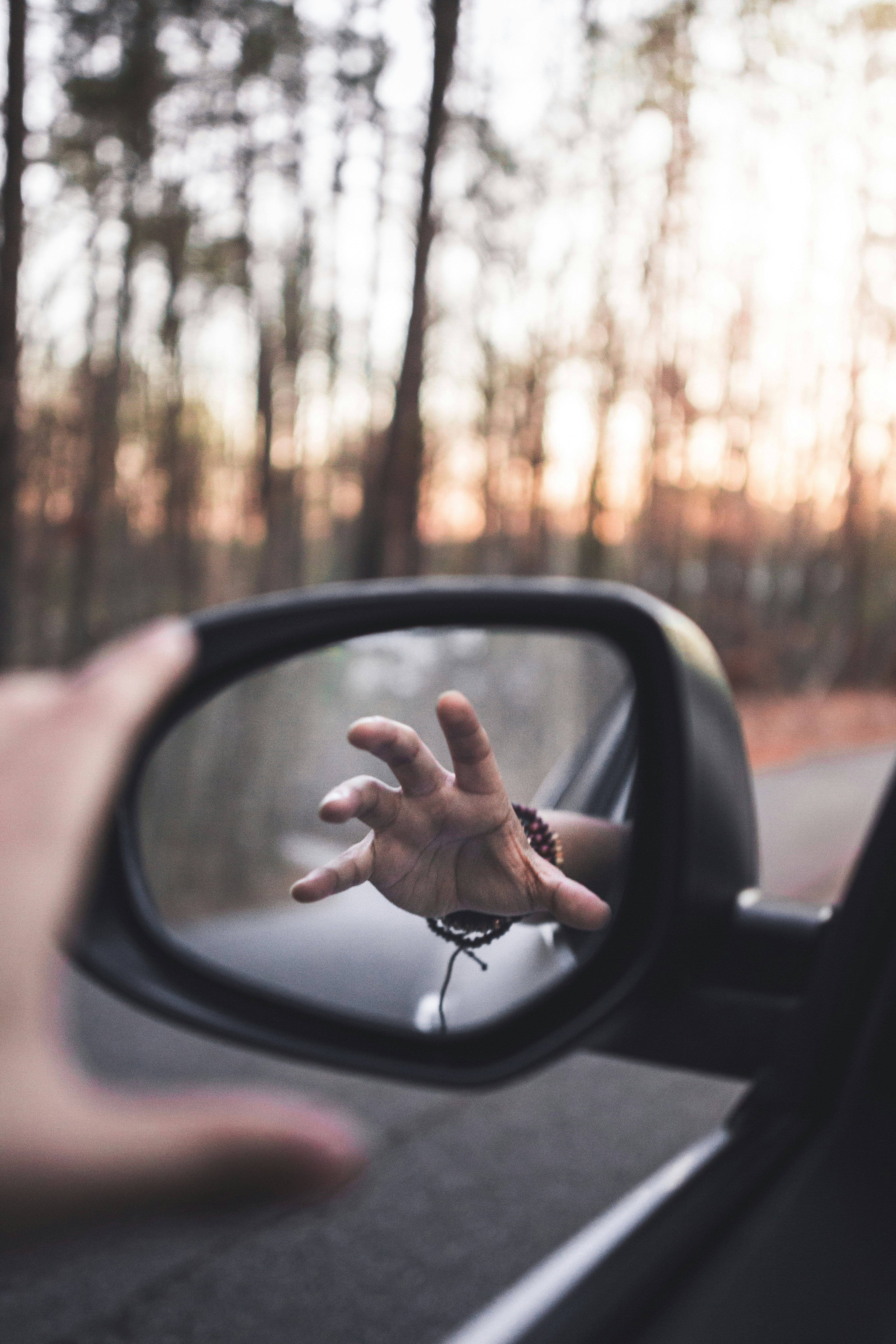 Photo by brennan_marttinez