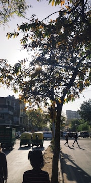 A city street scene with silhouettes of auto rickshaws and pedestrians, framed by a large tree with sunlight filtering through its leaves. The urban environment includes buildings and sparse traffic.