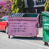 A pink dumpster with black stenciled text saying 'i thought you were special... i thought you should know' is placed on a street. It's positioned next to a red car and another green dumpster. In the background, there are lush green plants and magenta flowers against a dark building wall.