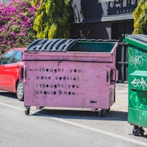 A pink dumpster with black stenciled text saying 'i thought you were special... i thought you should know' is placed on a street. It's positioned next to a red car and another green dumpster. In the background, there are lush green plants and magenta flowers against a dark building wall.
