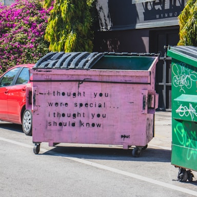 A pink dumpster with black stenciled text saying 'i thought you were special... i thought you should know' is placed on a street. It's positioned next to a red car and another green dumpster. In the background, there are lush green plants and magenta flowers against a dark building wall.