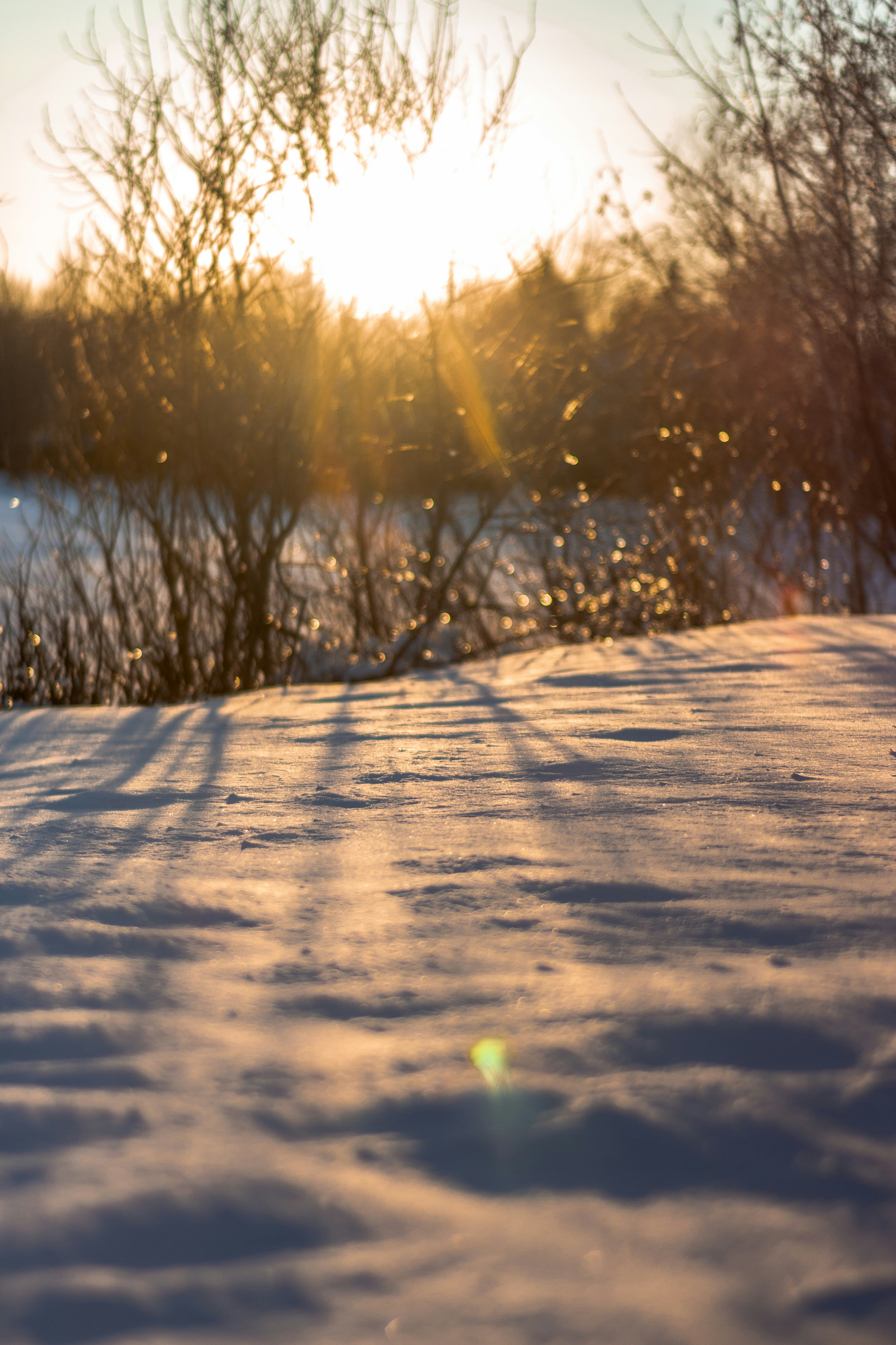 Photo by thomaslrdeau