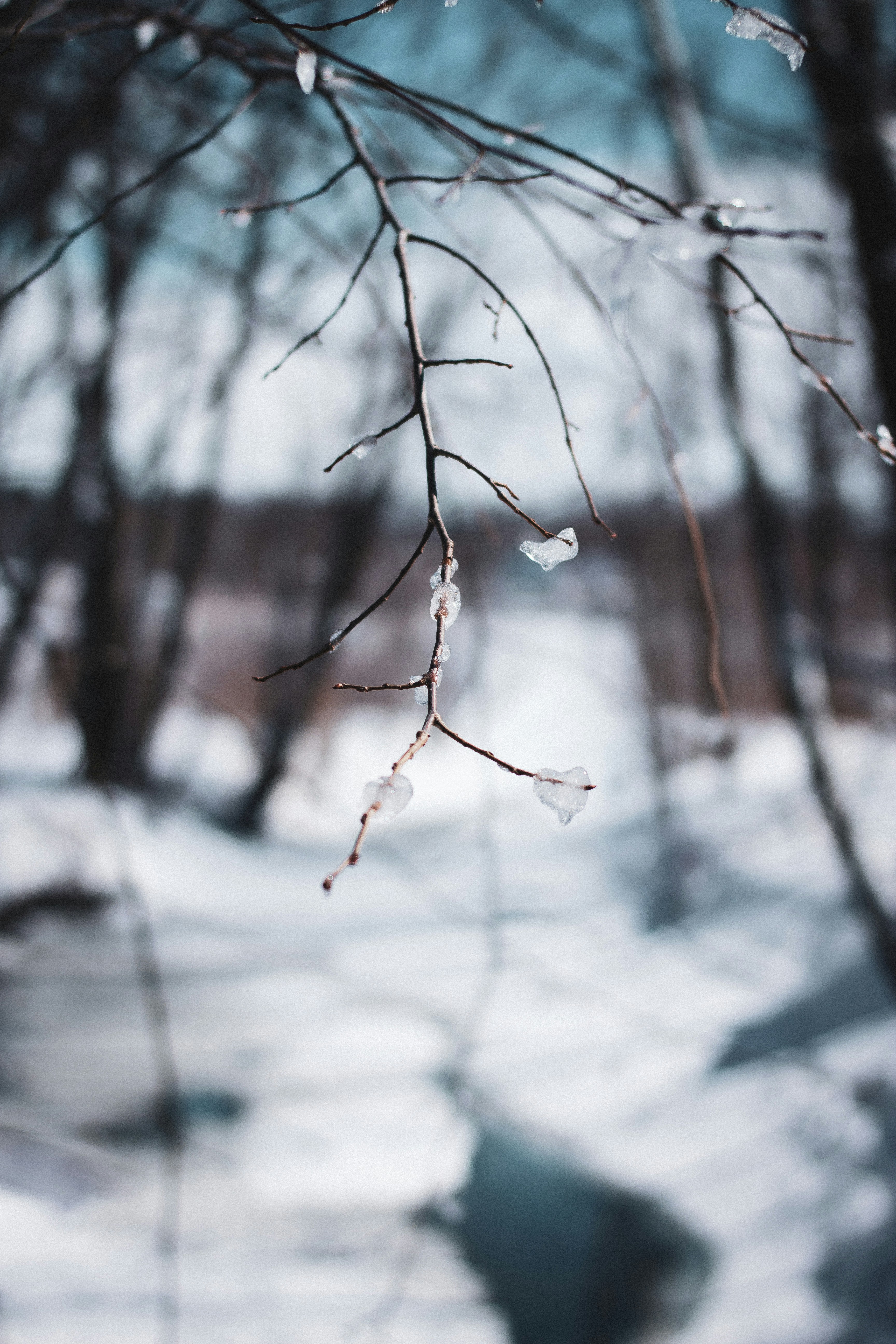 Photo by thomaslrdeau