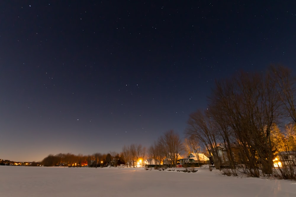 bare trees on snow covered ground under blue sky during night time