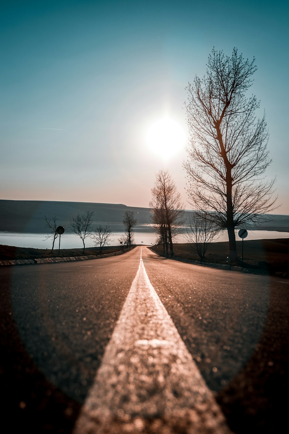 road way with trees during daytime