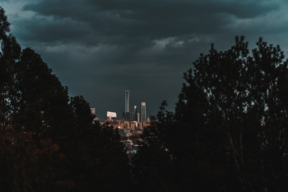 a view of a city from behind some trees