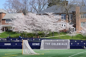 A scenic view of a sports field with a lacrosse net in the foreground. Behind the field is a brick building with large windows, surrounded by blooming cherry blossom trees. Several people are sitting along a fence that reads 'Home of the Colonials' in white letters. The setting suggests a peaceful spring day.