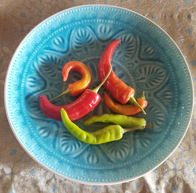 A colorful assortment of temperos arranged on a green and brown cloth.