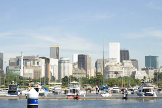 A panoramic view of the exotic fleet lined up against a dark, blurred Miami cityscape.